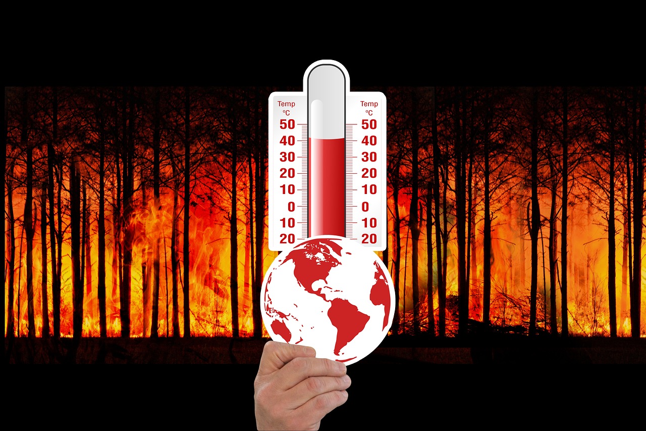 Climate Change and Infectious Diseases: A Growing Threat?